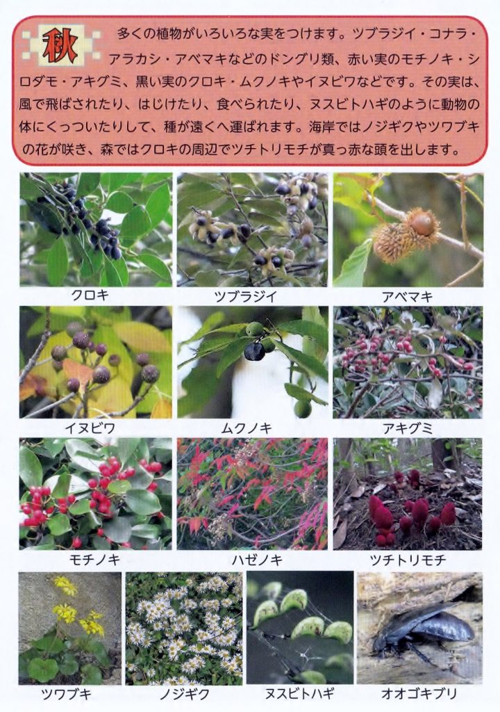 秋