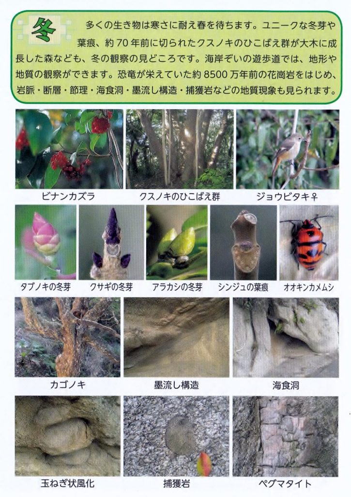 冬